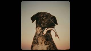 Queen's Goodbye - 15 15