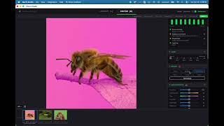 Macro Studio demo - modern focus stacking & editing for macro photography