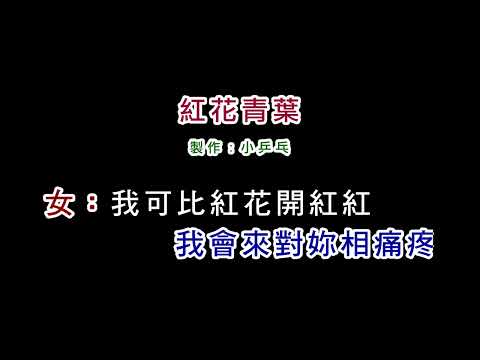 紅花青葉 黃西田+白冰冰