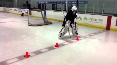 3E Goaltending