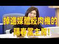 1032.【非大閃評】掉進媒體絞肉機的陽春黨主席!