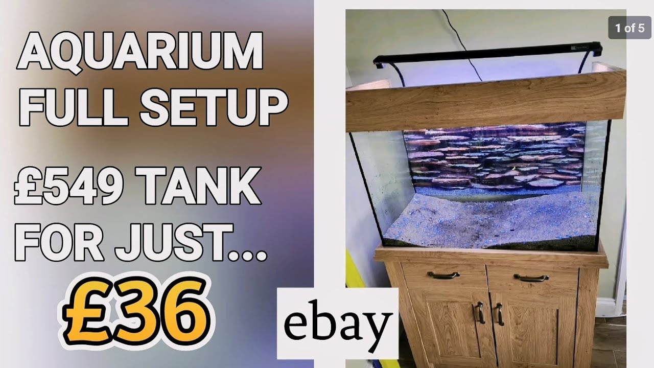 Crazy Ebay Deal Aqua One Oakstyle Aquarium Full Setup Super Cheap