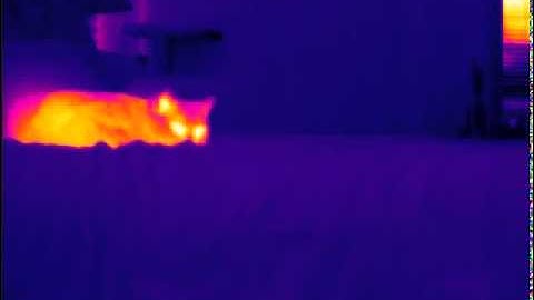 FLIR T450sc - 320x240 Example