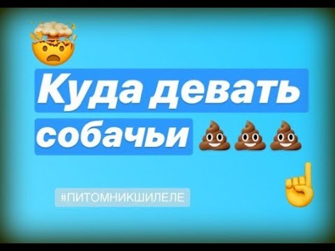 Видео: Какая лучшая профилактика сердечного червя для собак?