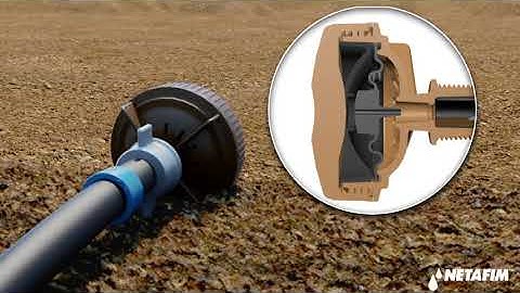 Netafim - Automatic Line Flush Valves