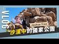 Vlog：美國加州約書亞樹國家公園，開箱wabi sabi侘寂風民宿｜JUNJUN SQUARE