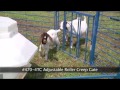 Sydell's #150 Outside Creep Area for Sheep/Goats Sydell's #150 Outside Creep Area for Sheep/Goats