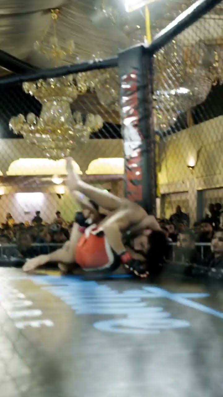 Airborne!! When MMA meets WWE #mma