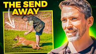 The First Step To Teaching Your Dog The Perfect Send Out!