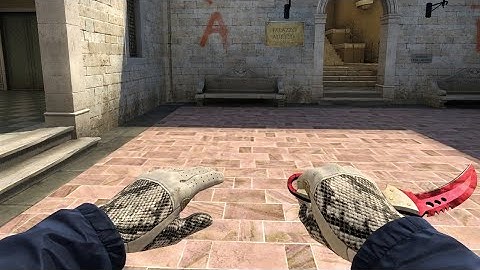 Skin Pack For Cs 1.6 Gloves driver King Snake