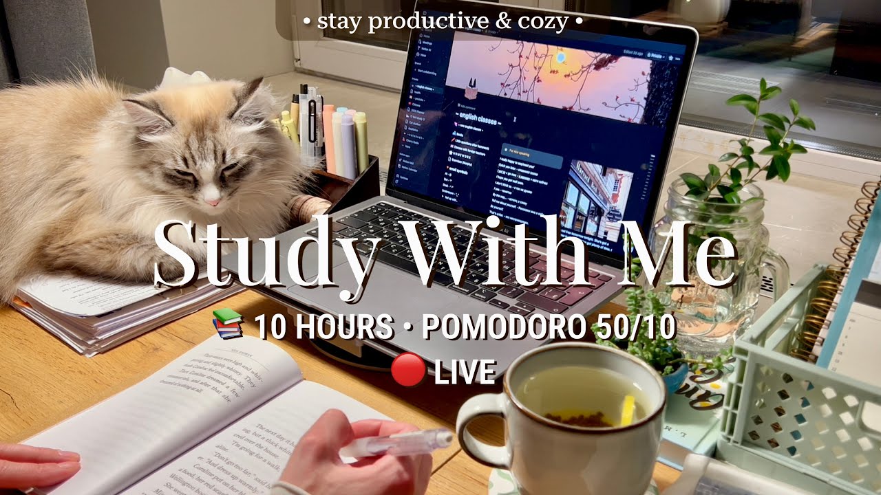 LIVE | 10 HR STUDY WITH ME | Pomodoro 50/10🔥 Cozy Fireplace | No Talking | Deep Focus