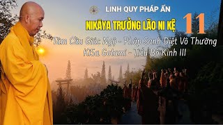 NIKAYA Trưởng Lão Ni Kệ 11 -Tâm Cầu Giác Ngộ -Pháp Sanh Diệt Vô Thường- KiSa Gotami Tiểu Bộ Kinh III