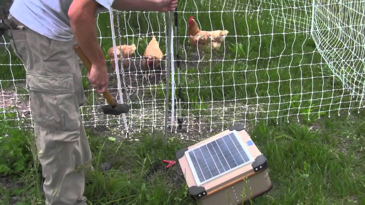 How to Install an Electric Poultry Fence Video 