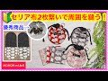 🔰セリアカットクロス2枚手抜き法❣️裏生地が紐通しになる❣️