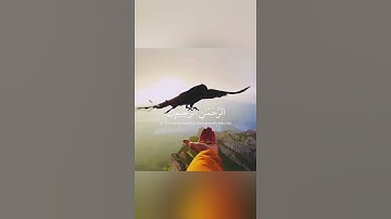 اعظم رقية في كتاب الله بصوت الشيخ احمد النفيس حالات واتس اب دينية قصيرة مؤثرة قرآن كريم تلاوة خاشعة