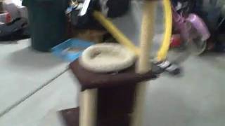 VID00009.AVI