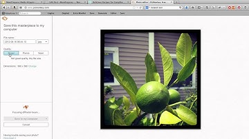How to Resize an Image in PicMonkey
