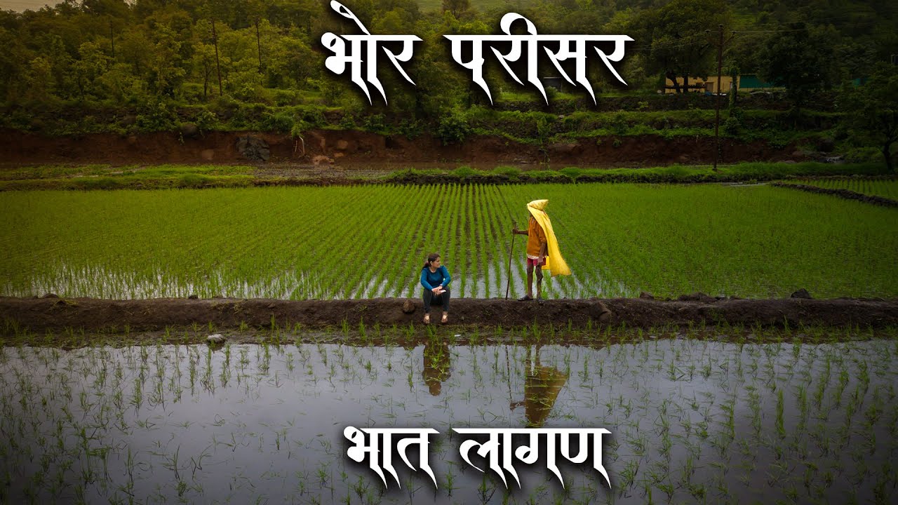 Bhor and Nearby Monsoon One day Picnic l Rice Plantation l Places near Pune in Monsoon