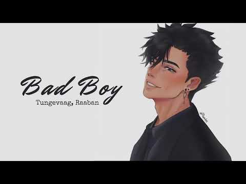 Vietsub | Bad Boy - Tungevaag, Raaban | Nhạc Hot TikTok | Lyrics Video