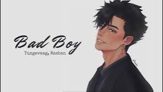 Vietsub | Bad Boy - Tungevaag, Raaban | Nhạc Hot TikTok | Lyrics Video