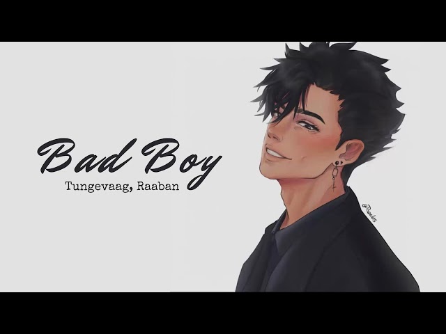 Vietsub | Bad Boy - Tungevaag, Raaban | Nhạc Hot TikTok | Lyrics Video class=