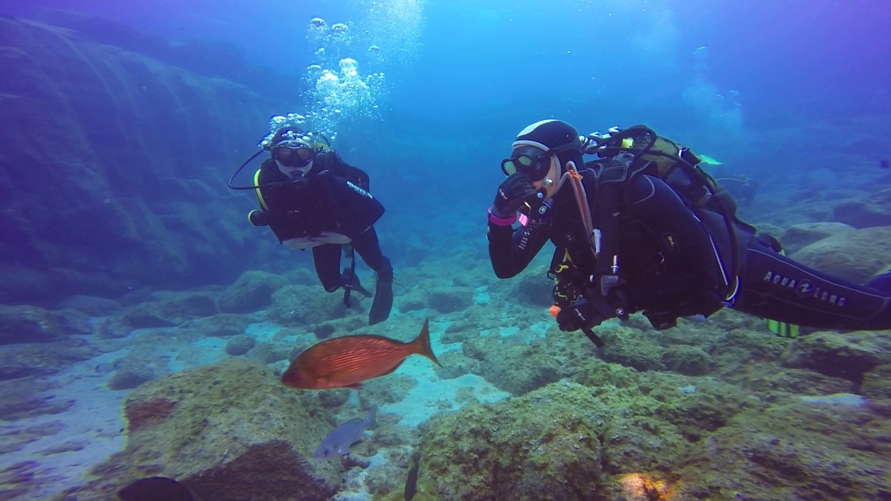 Big Fish Dive Center Tenerife