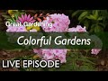 Great gardening  colorful gardens