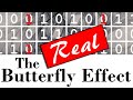 Capture de la vidéo The Real Butterfly Effect