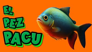 🐡 El PEZ PACU: El Pez con 