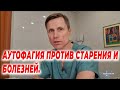 Аутофагия против старения и болезней.