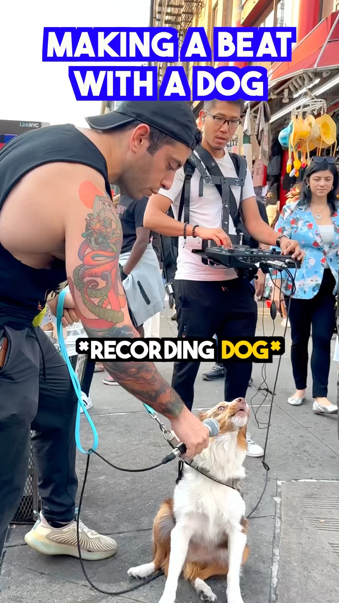 Made a beat LIVE with a DOG! ❤️? #dogsofinstagram #beatbox #musicproducer