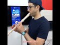 همام في أمستردام ميلوديكا و ريكوردر 