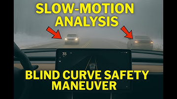 FSD v14.2.1 — Slow-Motion Analysis of the Safety Pull-Over (Blind Curve Moment)