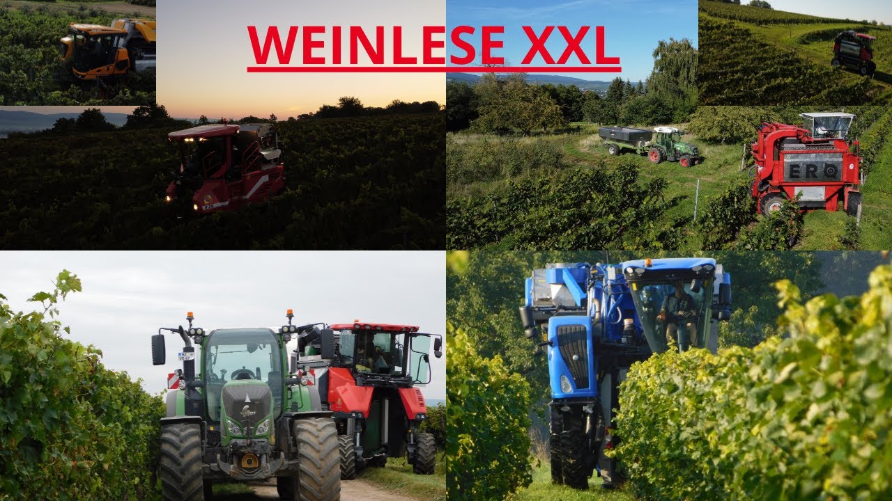 Traubenlese XXL #pellenc #braud #ero