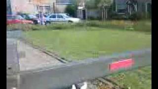 Download Lagu Spelen met mijn hond!!! MP3 Download Lagu Spelen met mijn hond!!! MP3
