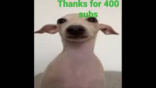 400 Subs Special Later