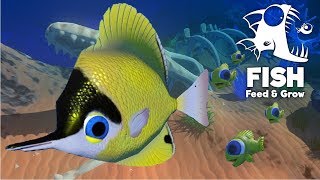 Making Baby Fish - New Update! - Feed and Grow Fish Gameplay