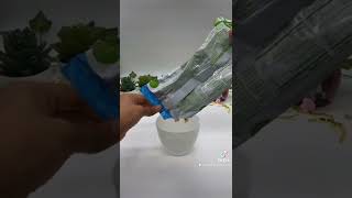 Valentines Day Dessert Box