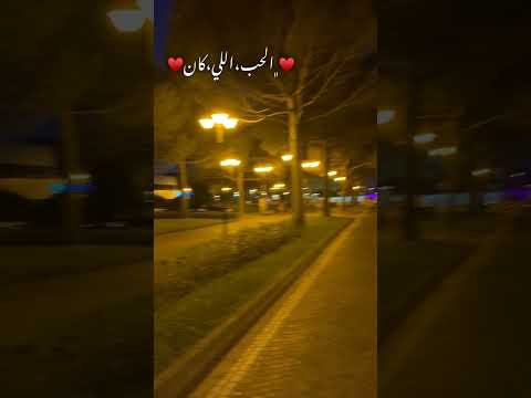 الحب اللي كان ميادة الحناوي