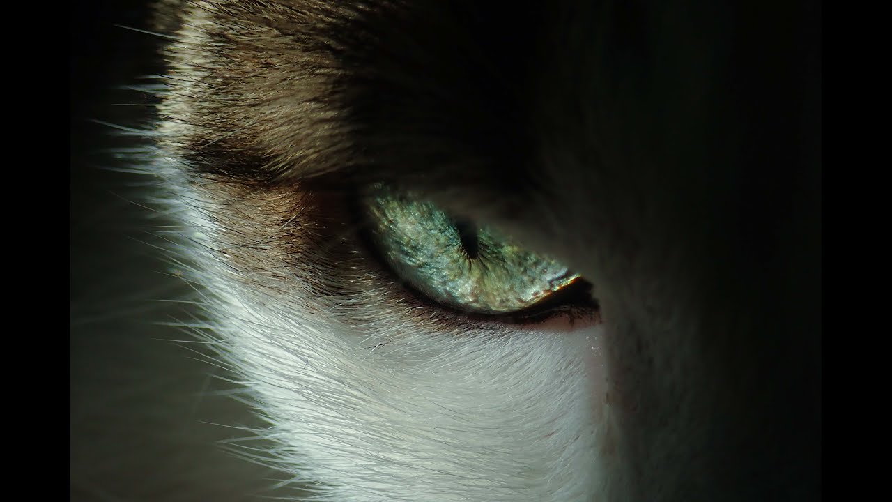 Moby ft. Mylene Farmer - Slipping Away (Crier La Vie) (MHC Extended Mix)