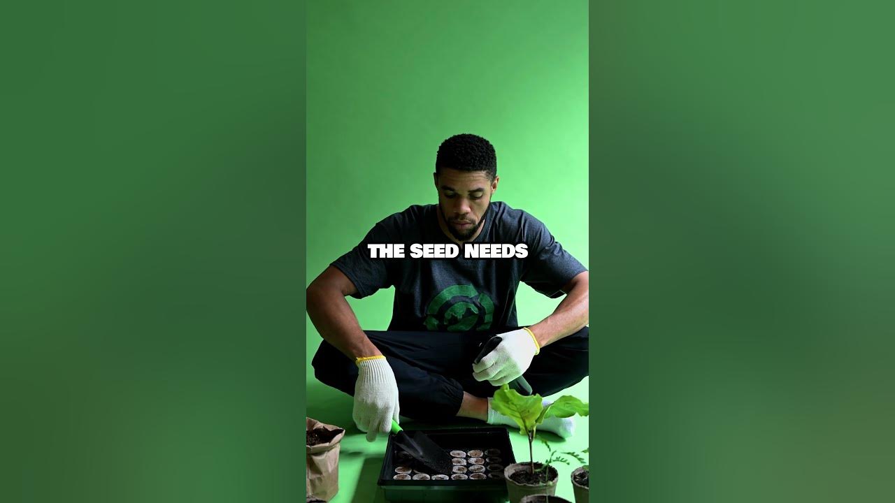 this-will-make-you-grow-youtube