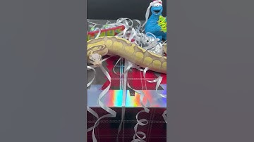 Merry Christmas From our 0.1 Super Pastel Butter!