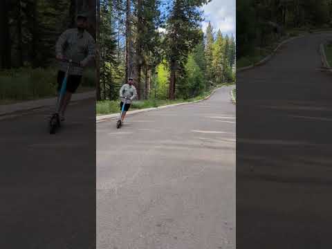 lime scooters at