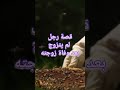 قصة رجل لم يتزوج بعد وفاة زوجته