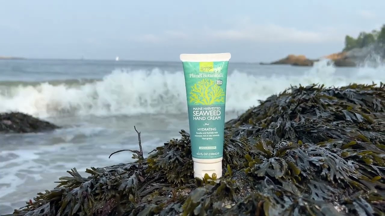 Seaweed Hand Cream