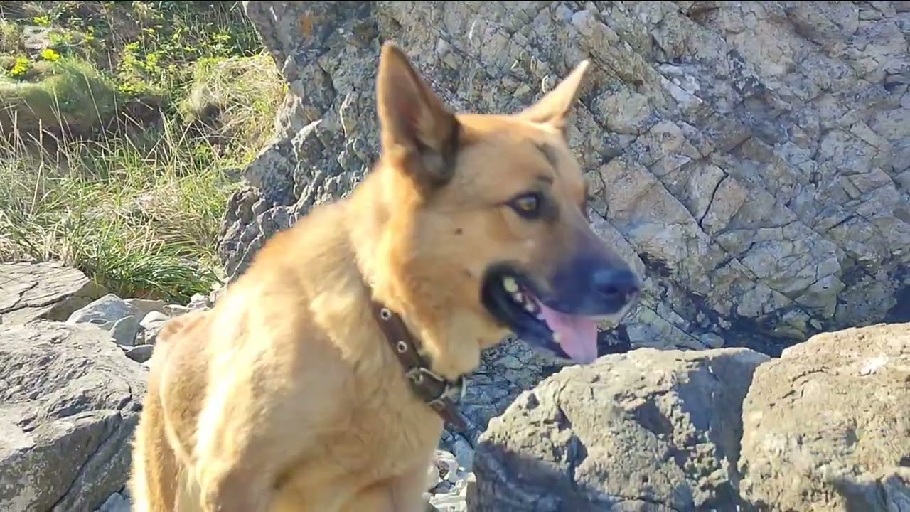 Thank you for this warm day!