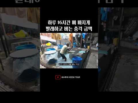 전세계 가장 큰 빨래터, 도비가트