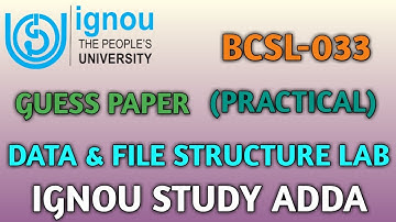 BCSL 033 DATA & FILE STRUCTURE LAB PRACTICAL