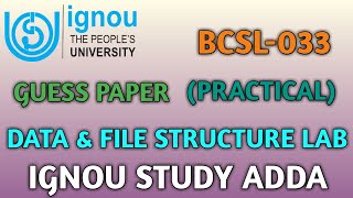 BCSL 033 DATA & FILE STRUCTURE LAB PRACTICAL