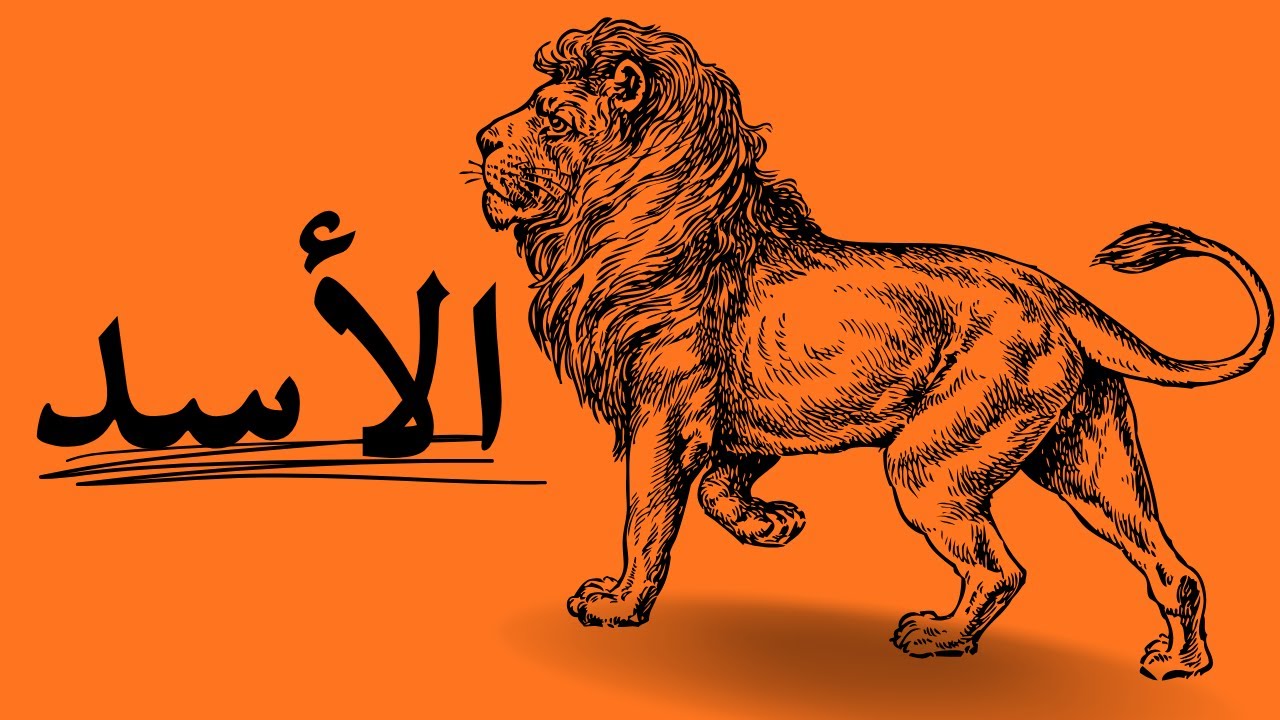 كل حاجة عن برج الأسد! 💫 مشاعره، تفكيره، طريقته في الحب والسيطرة…